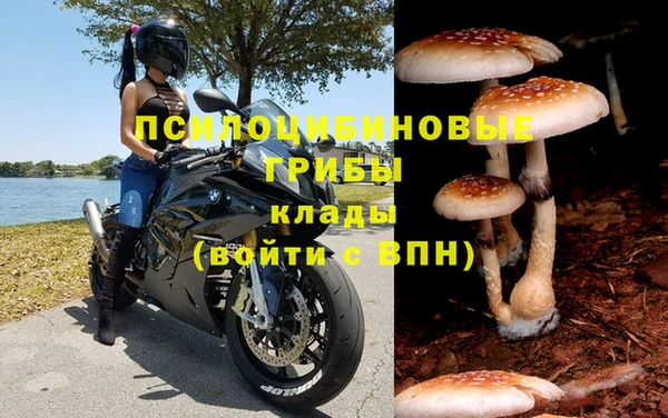 гидропоника Елабуга
