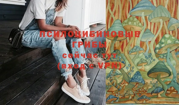 гидропоника Елабуга